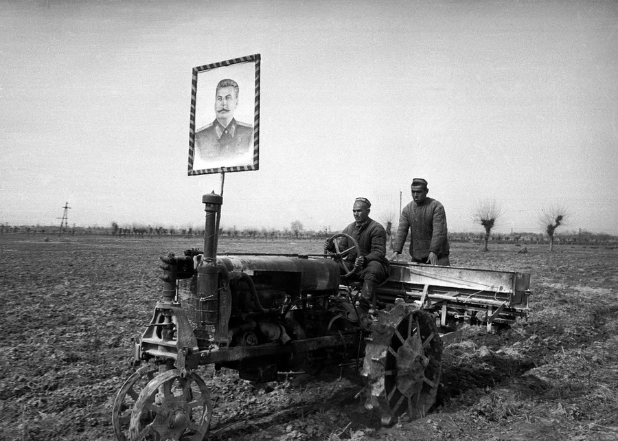 хлопок узбекистан